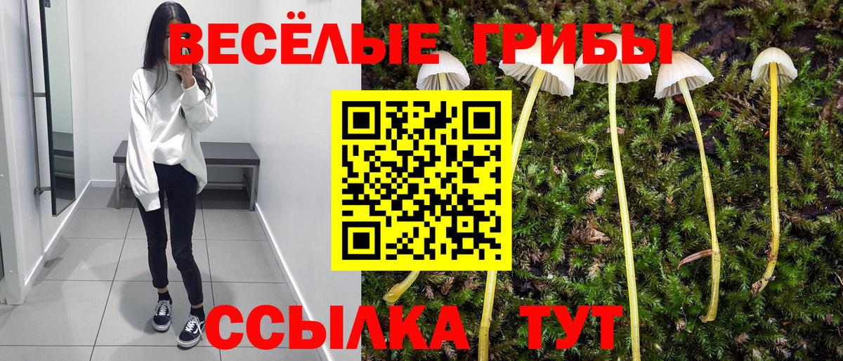 Галлюциногенные грибы MAGIC MUSHROOMS  Вход с VPN  где купить наркоту  Новотроицк  Галлюциногенные грибы GOLDEN TEACHER 