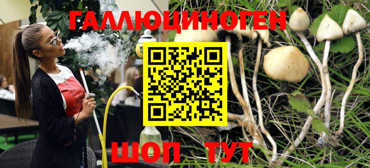 Псилоцибиновые грибы ЛСД Новотроицк